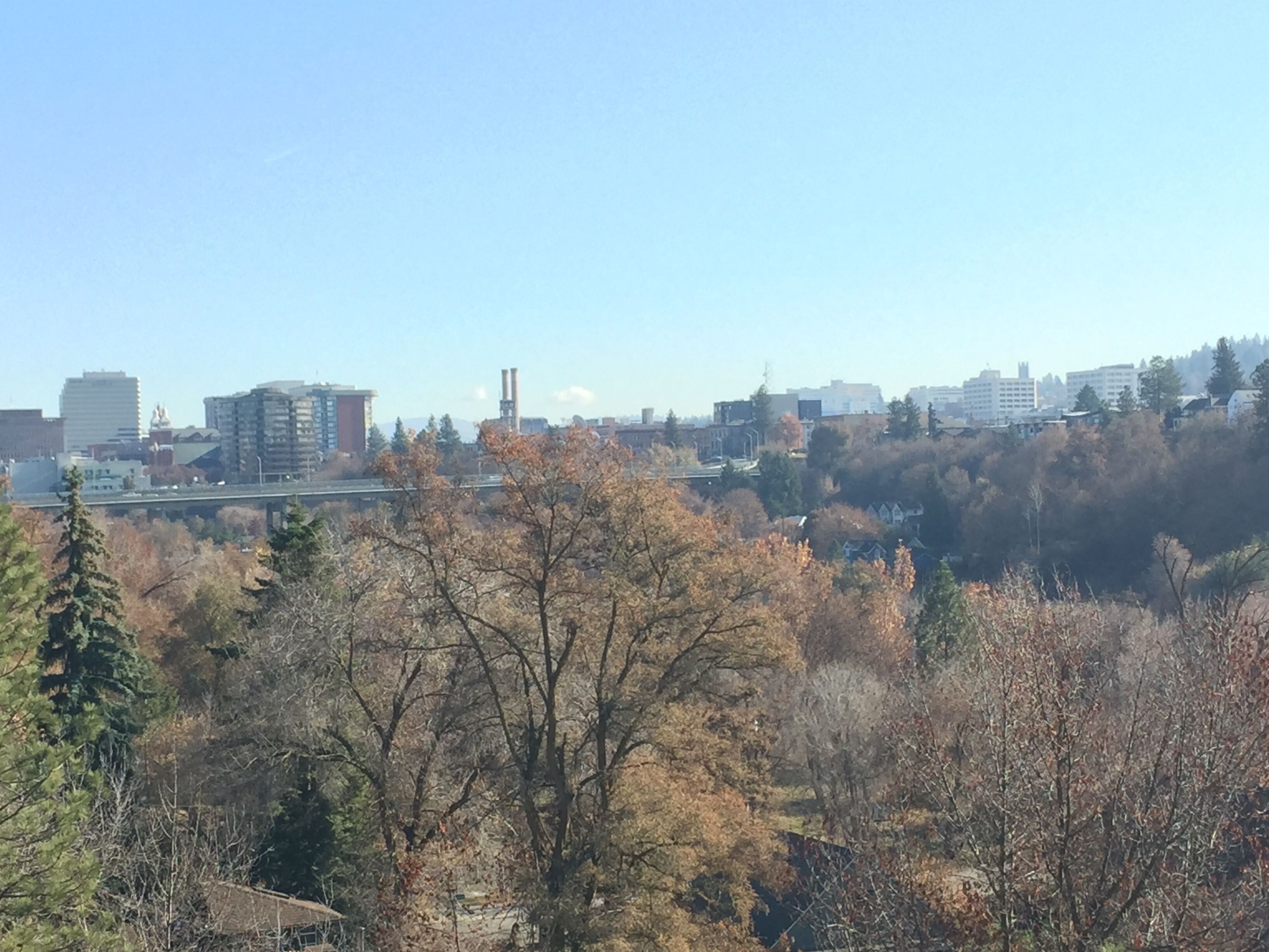 Eine Stadtansicht mit Herbstlaub, Gebäuden und einer Brücke.