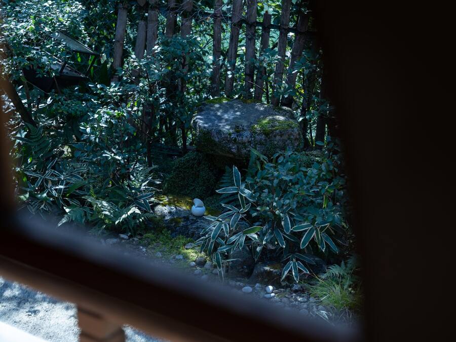 A lush garden with a variety of plants and a large rock.