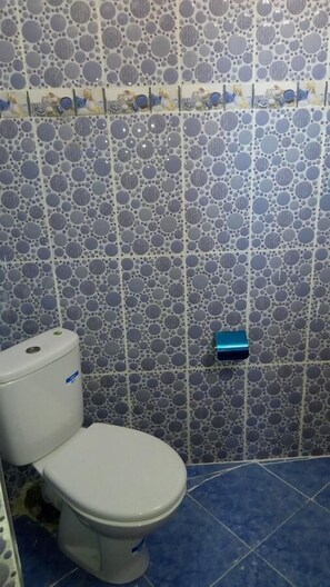 Shower, towels, soap, toilet paper
