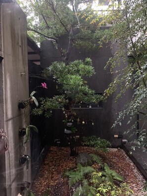 Ein kleiner, umzäunter Gartenbereich mit verschiedenen Pflanzen und einem Baum, umgeben von einer Betonmauer.