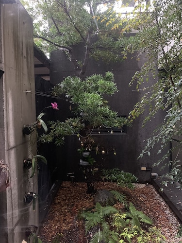 Green House