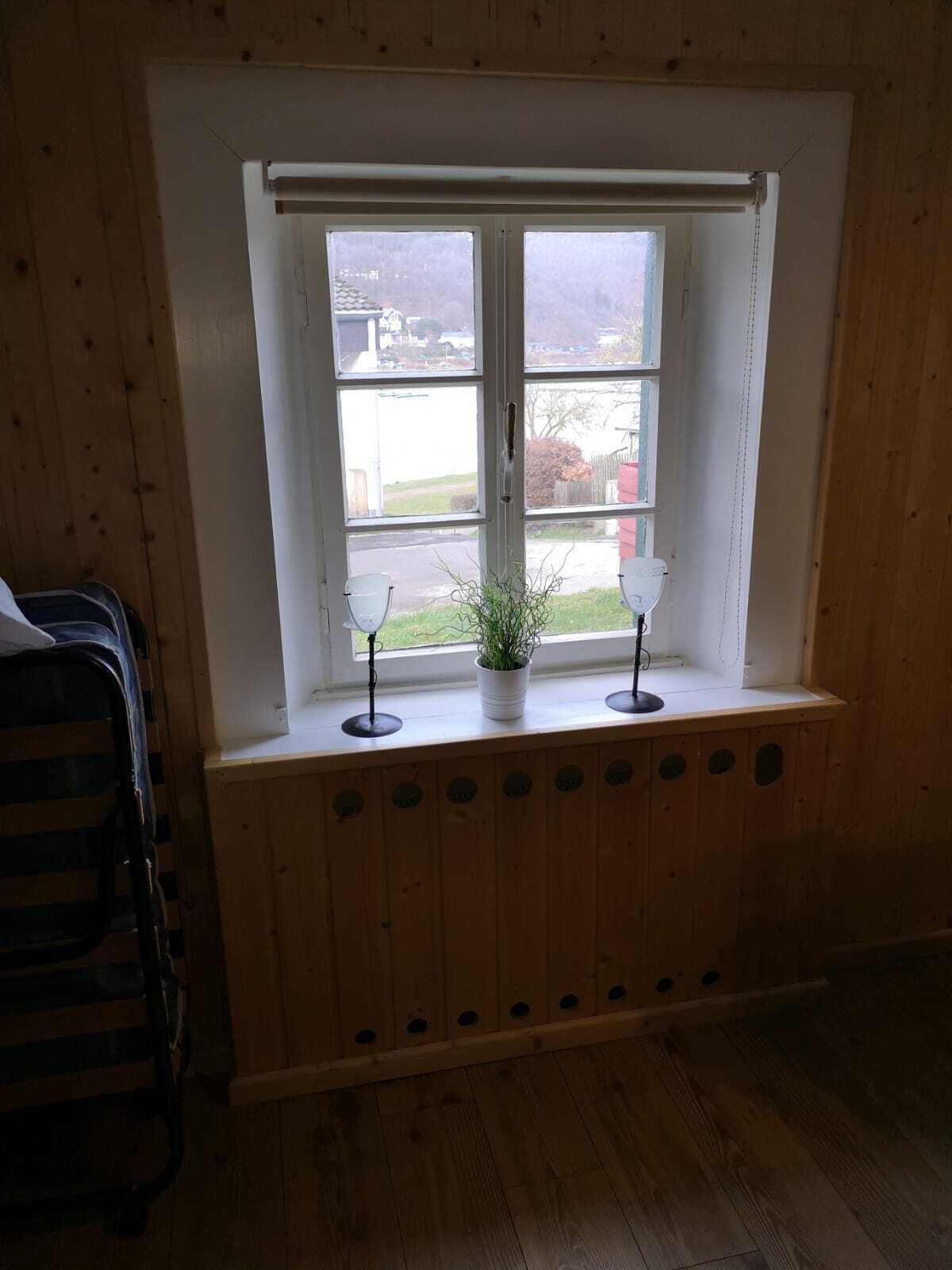 A room with a wooden floor, a window with a white frame, and a small potted plant on the windowsill.