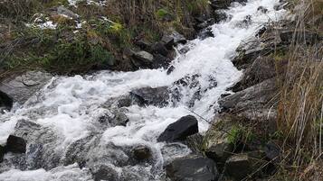 Un arroyo pedregoso con agua corriendo, rodeado de vegetación.