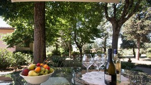 Una mesa de vidrio con una botella de vino y dos copas, un cuenco de fruta, y un árbol al fondo.