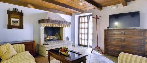 Télévision, cheminée, lecteur de DVD, médiathèque