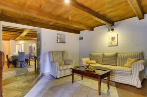 TV, fireplace, DVD player, music library - House with pool and jacuzzi (Gracišce)