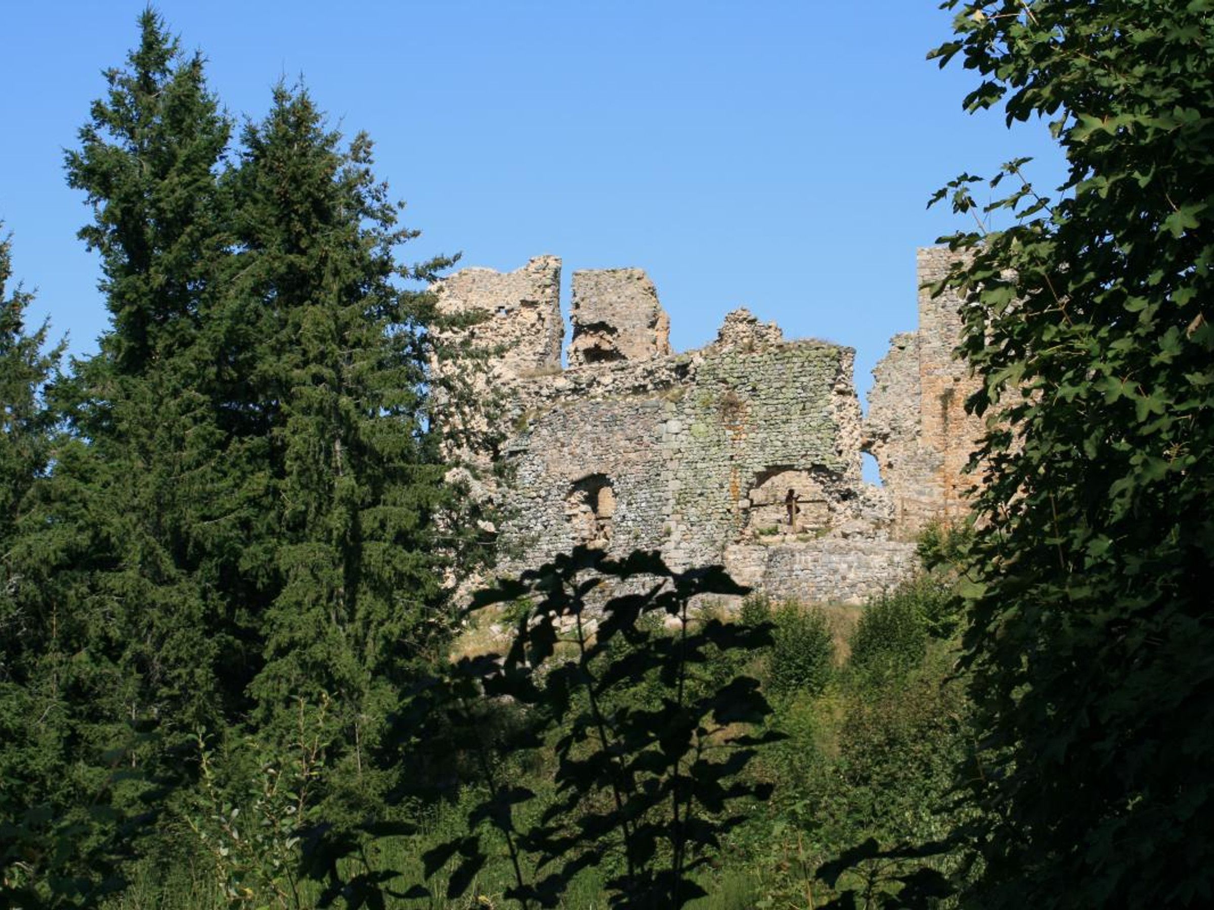 A historical stone structure surrounded by dense greenery.