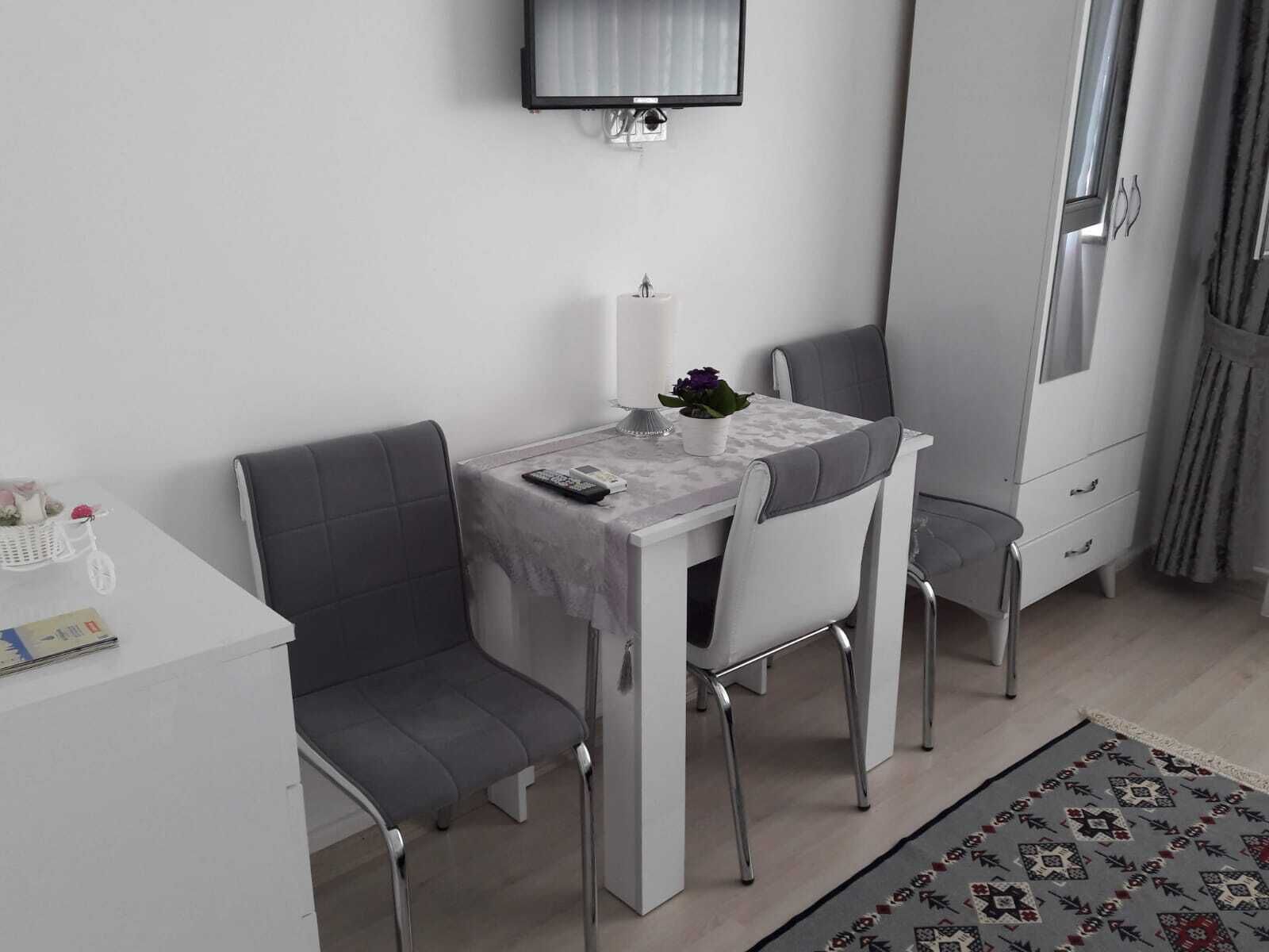 A small, modern room with a white table and chairs, a small potted plant, a remote control, and a decorative rug.