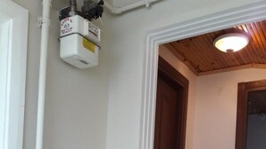 A compact room with a white cabinet, a potted plant with variegated leaves, a wooden door, and a small table with a candle. - Golden Life Apart Otel (Istanbul)