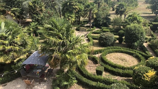 A garden with palm trees and neatly trimmed hedges. - Domaine de Menerque (Lisle-sur-Tarn)