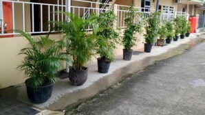 Un edificio con un porche cubierto, plantas en macetas y una escalera que conduce a un nivel superior.