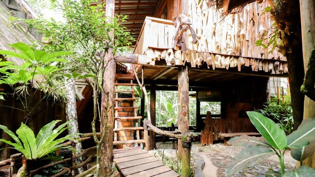 A rustic wooden structure with a wooden staircase leading to a platform. - Rimbono Homestay (Kalirejo)