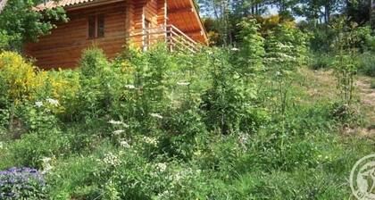 Cozy wooden chalet with terrace, internet, and pets allowed