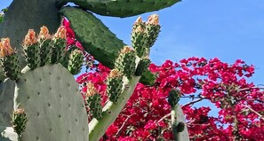 Außendetails