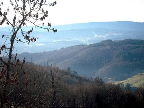 Miscellaneous - Cozy chalet, wild nature, PC internet, great for hiking (Saint-Martin-la-Sauveté)