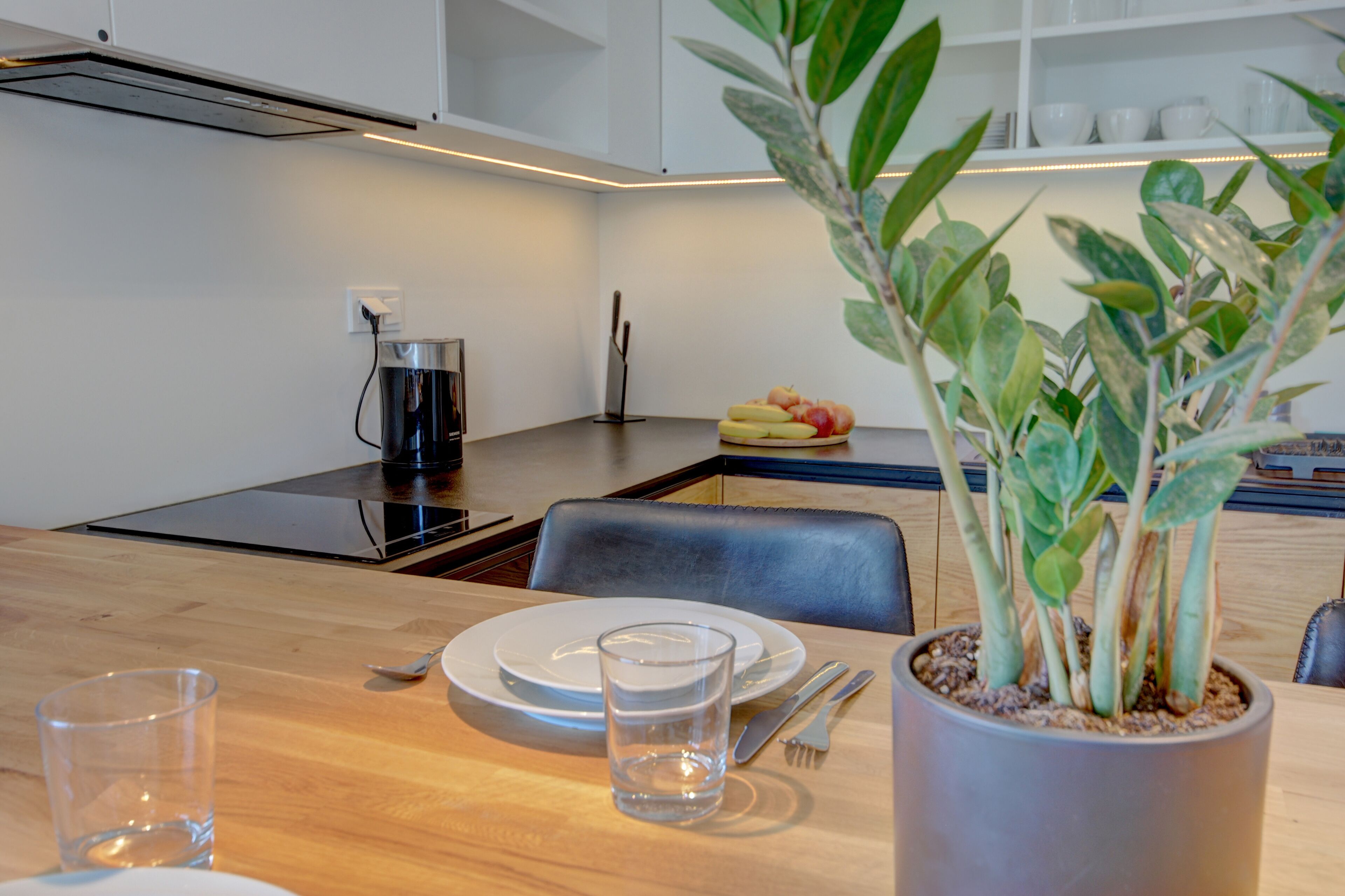 Un comedor con una mesa de madera, una planta en maceta y una cafetera.