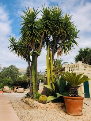 Jardines del alojamiento