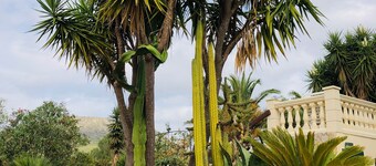 Cozy finca with pool and mountain views