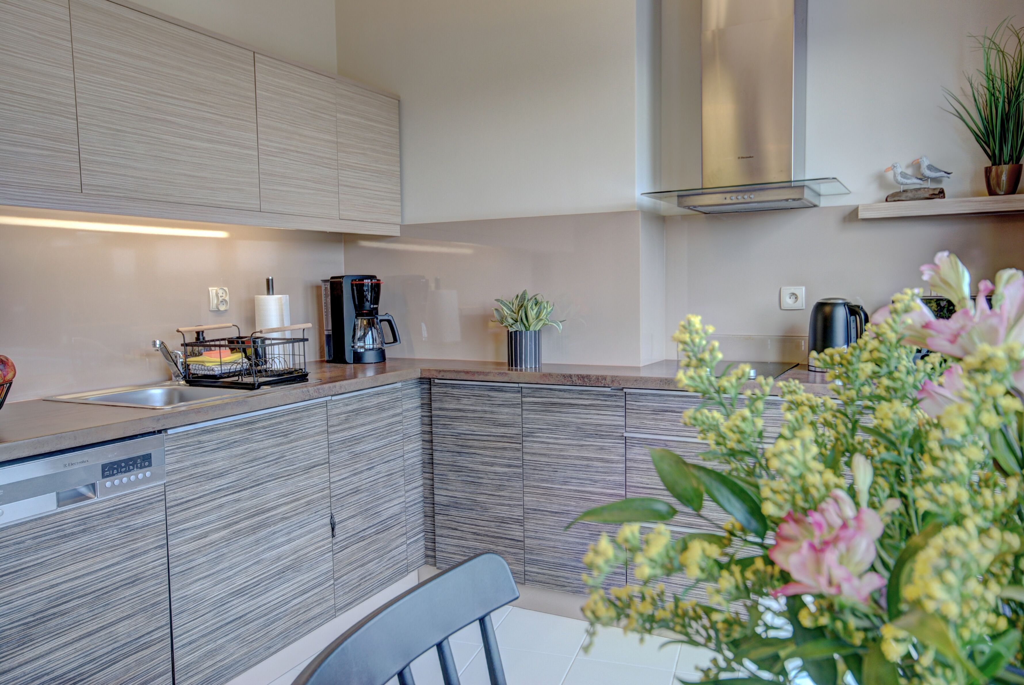 A modern kitchen with a dishwasher, coffee maker, and a potted plant.
