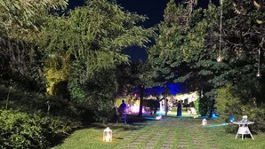 A garden pathway with stepping stones leading to a lit area with trees and a stage.