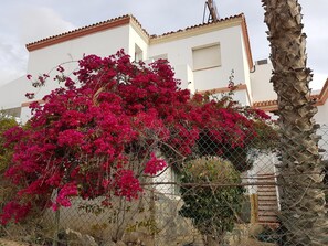 Exterior - Hostal Manolo (Garrucha)