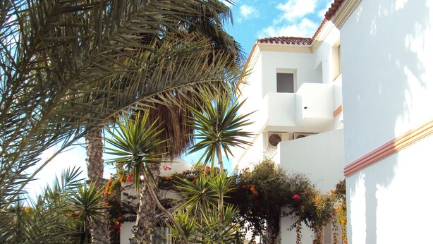 A courtyard with palm trees, a stone wall, and a white building with a tiled roof. - Hostal Manolo (Garrucha)