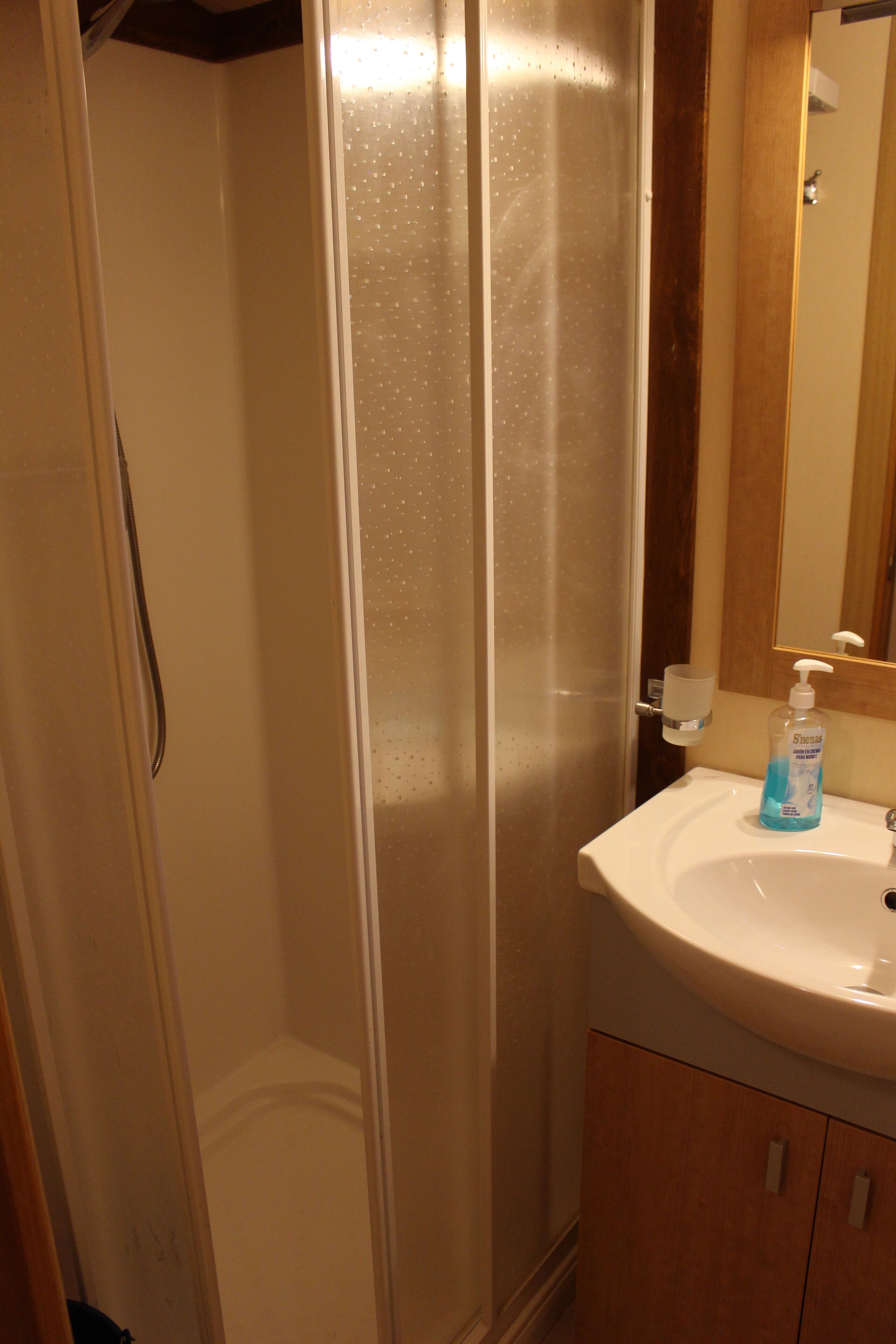 Une salle de bain avec une douche à parois de verre, un lavabo doté d’un distributeur de savon et un miroir au-dessus du lavabo.