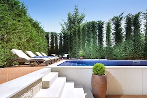 Seasonal outdoor pool, pool umbrellas, sun loungers - Villa Carlotta (Tar-Vabriga)