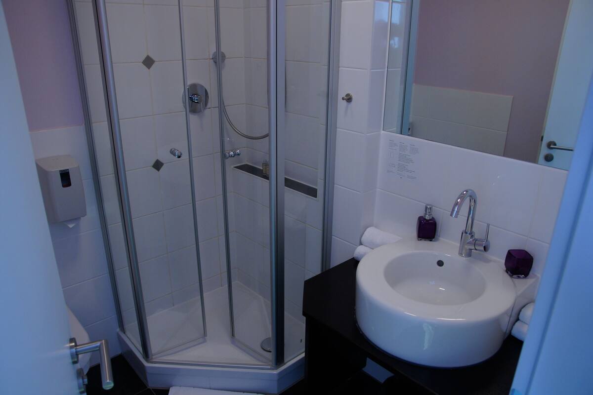 Un baño con ducha separada por vidrio, lavamanos blanco y espejo.