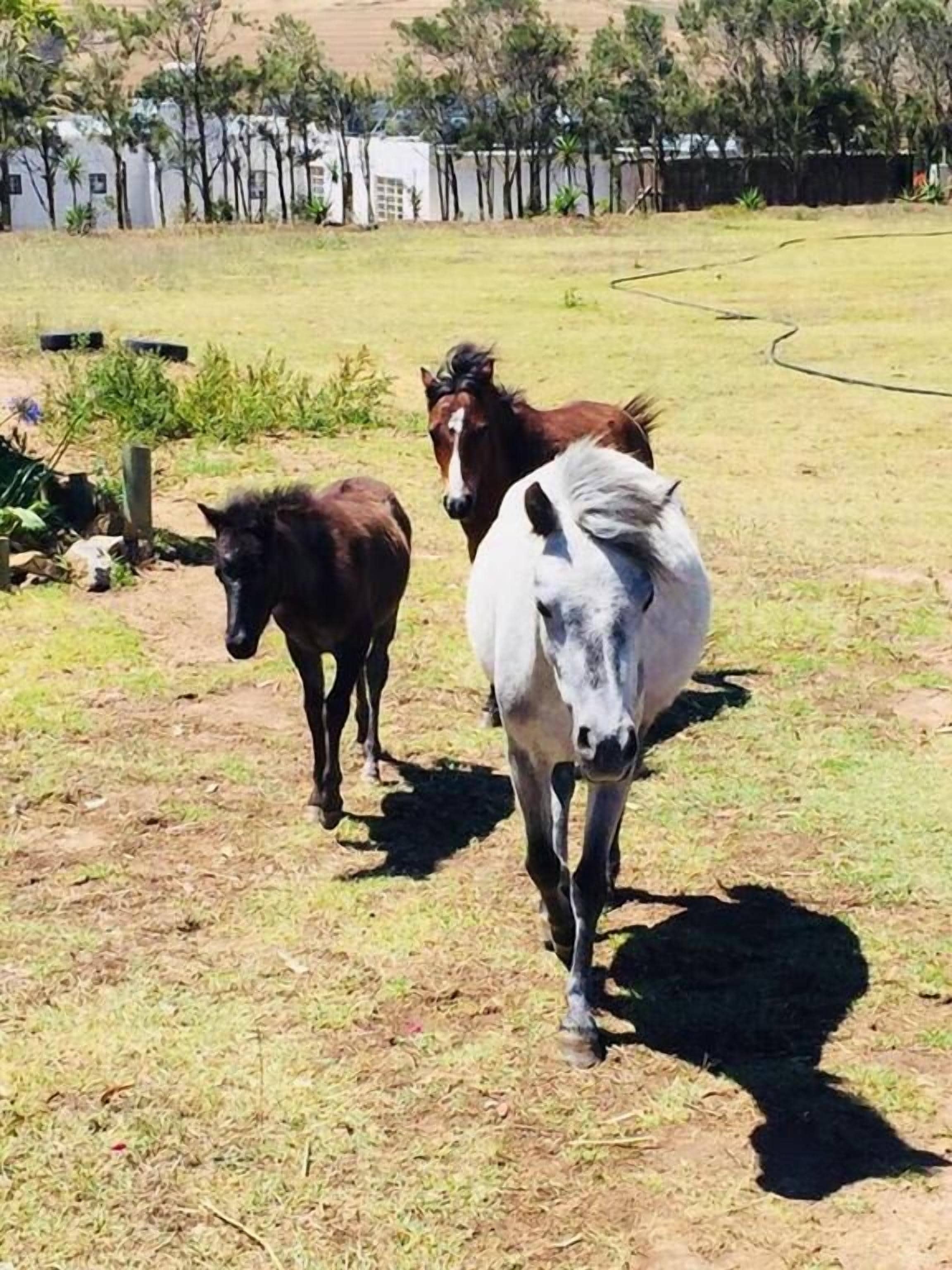 Photo - Anna Beulah Farm