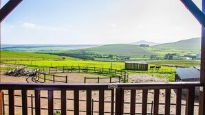 A view from a wooden structure with a metal roof, overlooking a green landscape with fields and hills. - Anna Beulah Farm (Cape Town)