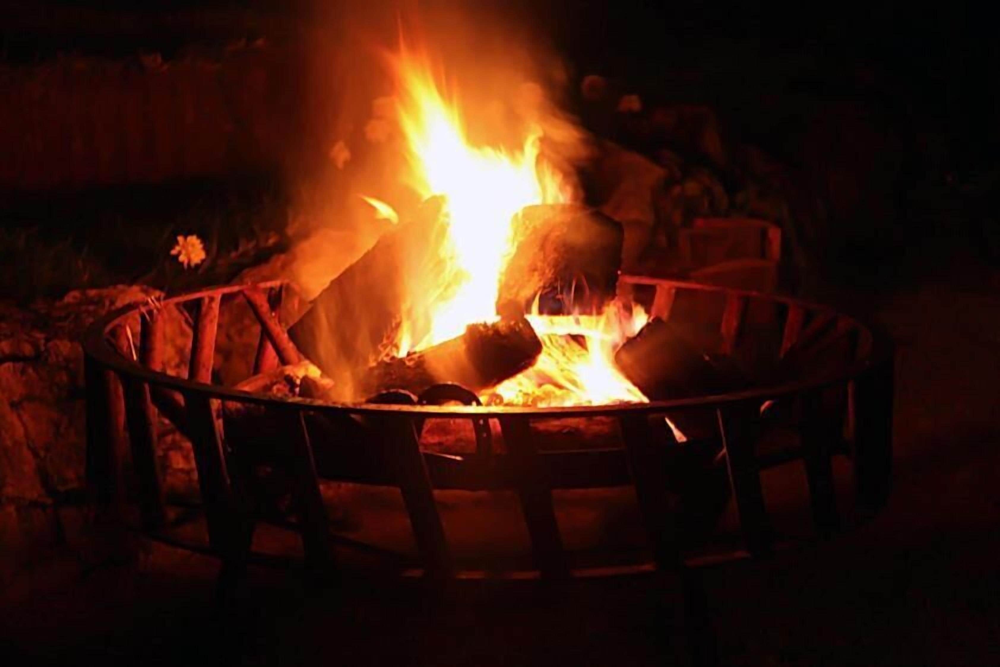 A circular fire pit with burning logs, surrounded by a metal railing.