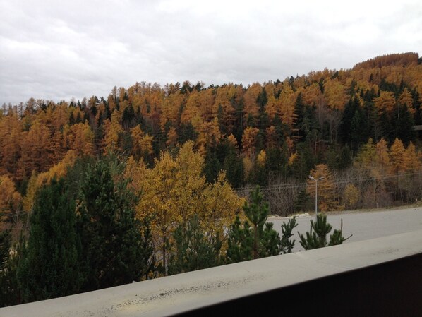 Vue depuis l’hébergement