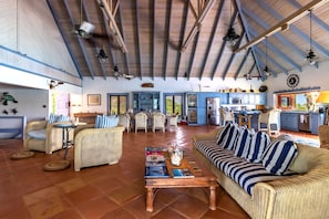 TV, DVD player, books, music library