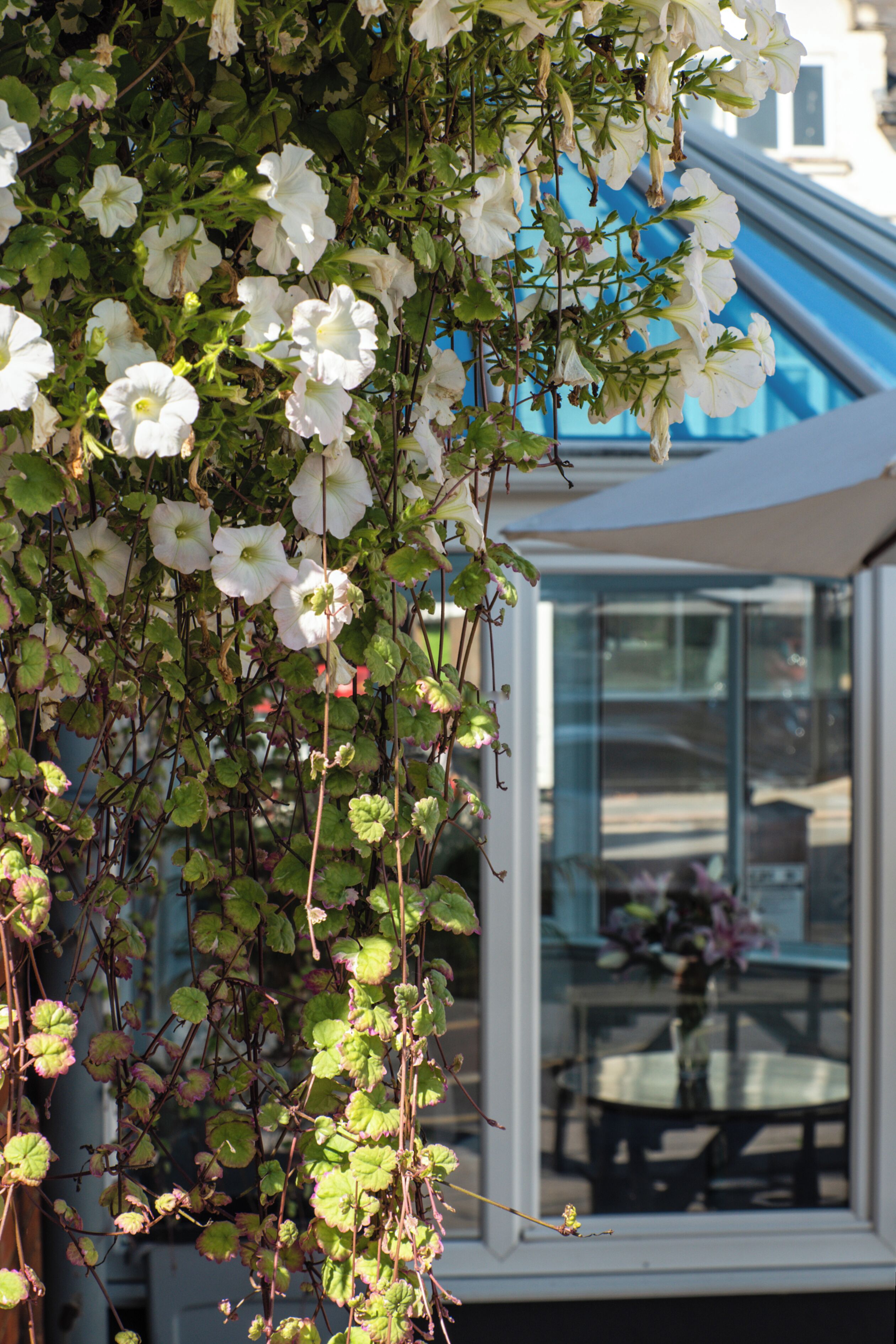 Photo - Best Western The Plough Hotel