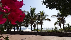 Un camino pavimentado con palmeras y vista al mar.