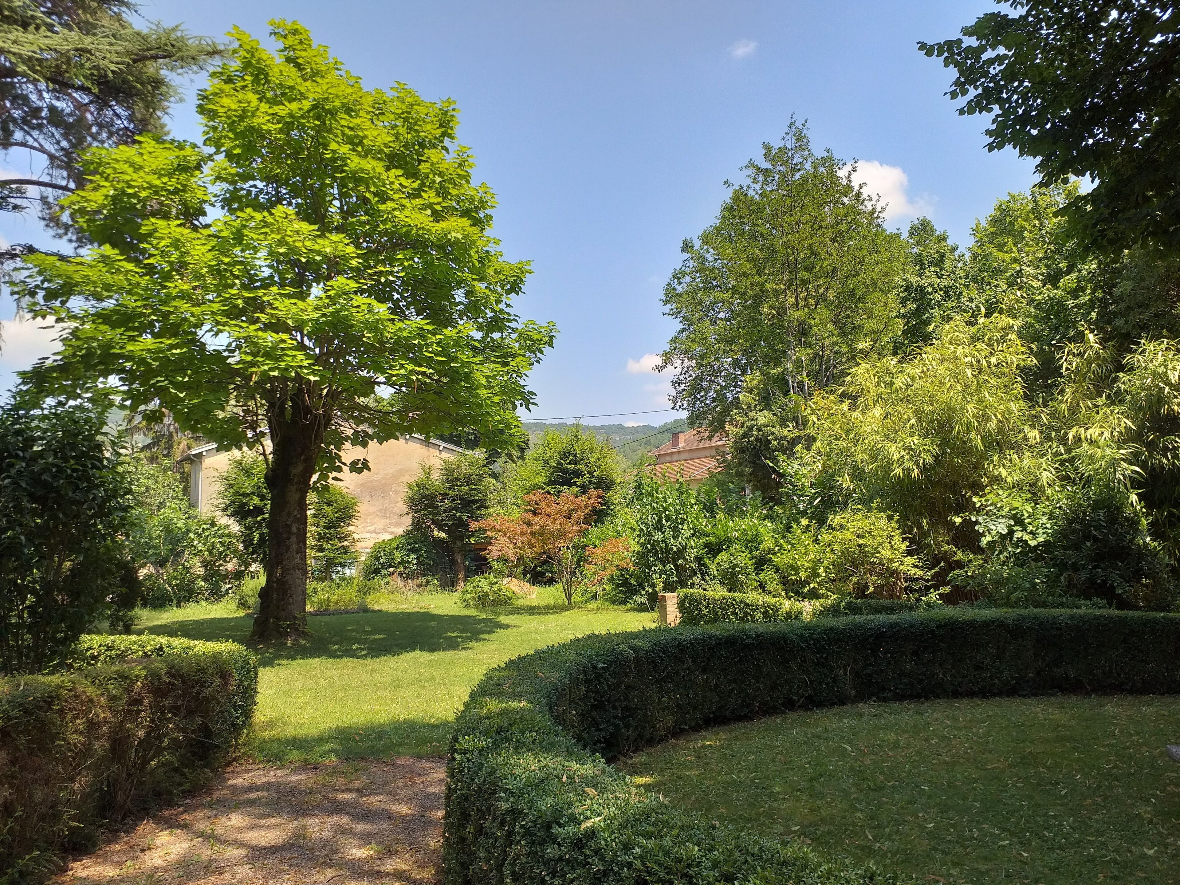Ein gepflegter Garten mit verschiedenen Bäumen und Sträuchern, einer ordentlich geschnittenen Hecke und blauem Himmel.