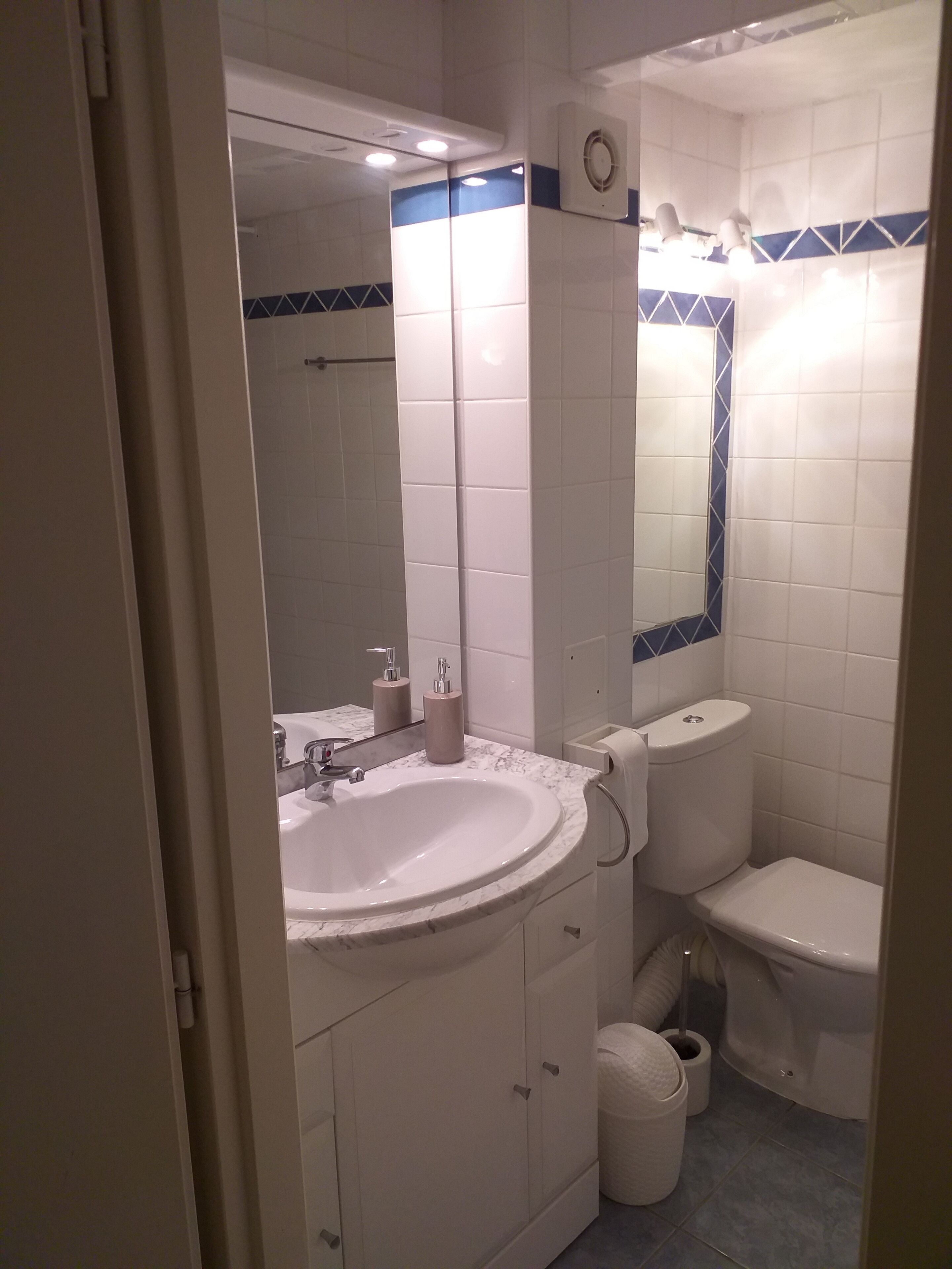 A bathroom with a white sink, a mirror, a toilet, and a trash bin.