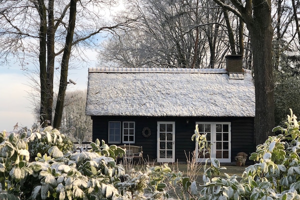 Comfort Cabin, Sauna (Het Vriendenhuis) | Premium bedding, pillowtop beds, individually decorated
