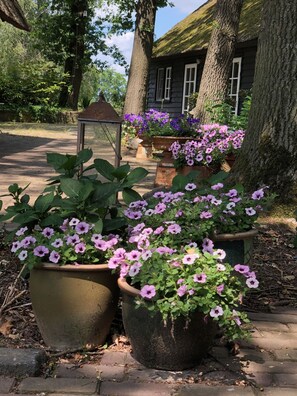Courtyard - Hof van Eersel (Eersel)