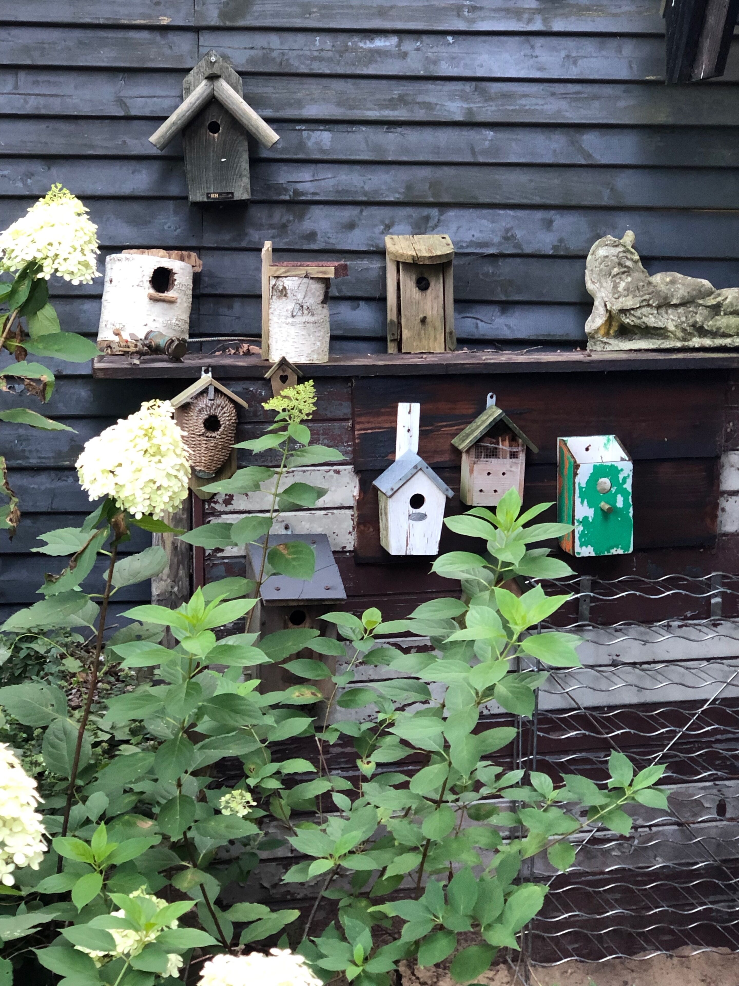 Un conjunto de casas para pájaros frente a una pared de madera, rodeado de follaje.