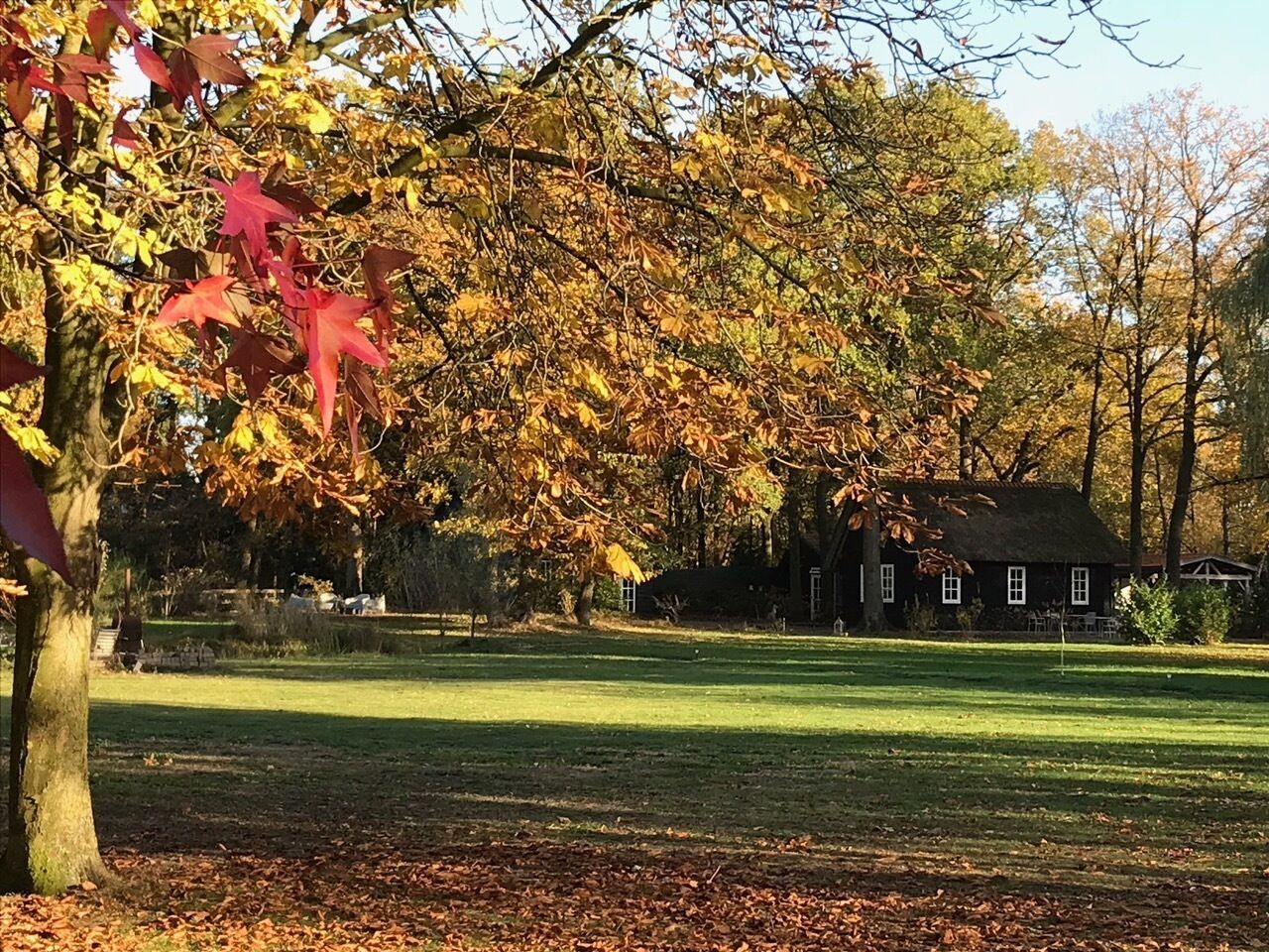 A grassy field with a house in the background.