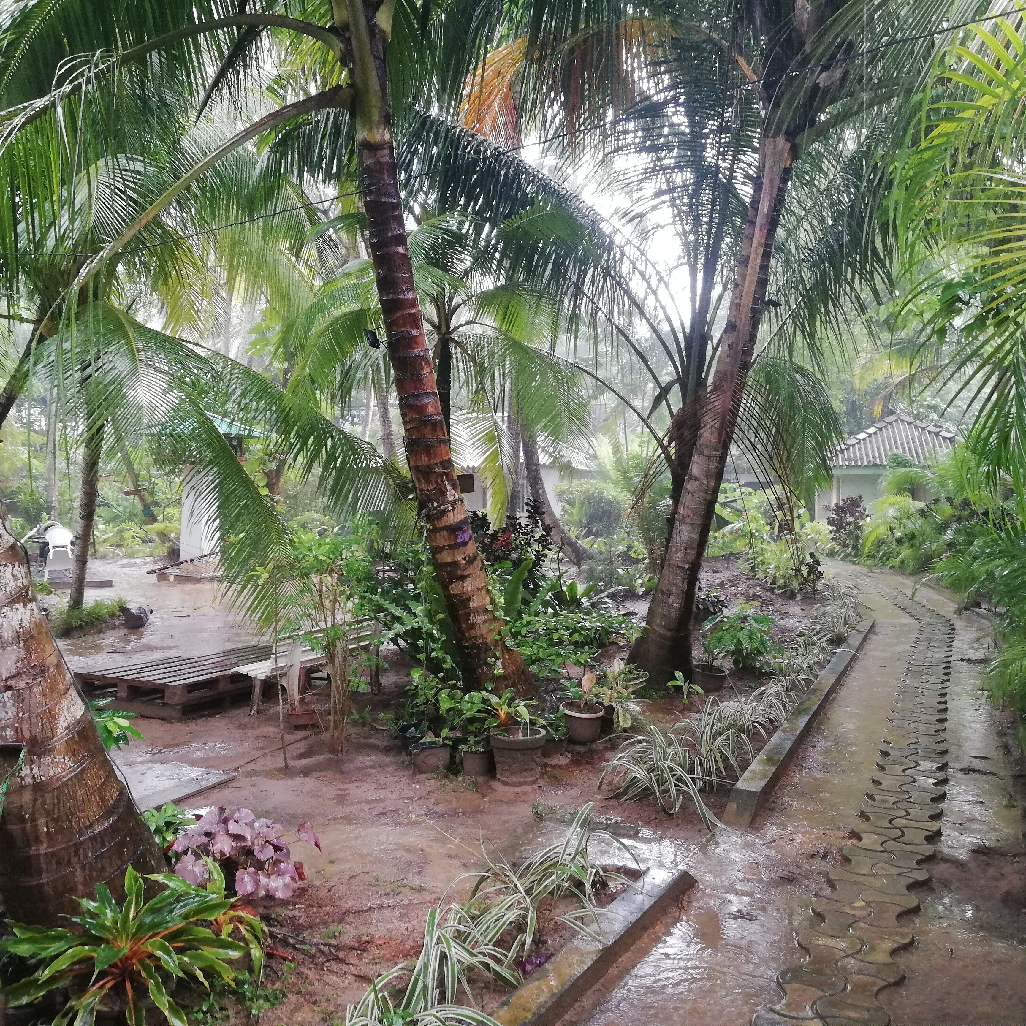 Área da propriedade