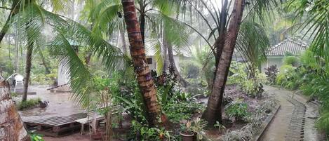 Terrein van de accommodatie