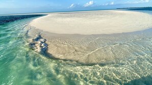 A beach with clear turquoise water and a sandy shore. - Cozy Cove/Beach/FREE Golf Cart/Umbrella/Chairs/Kayak/Quiet Dead End Street (Spanish Wells)