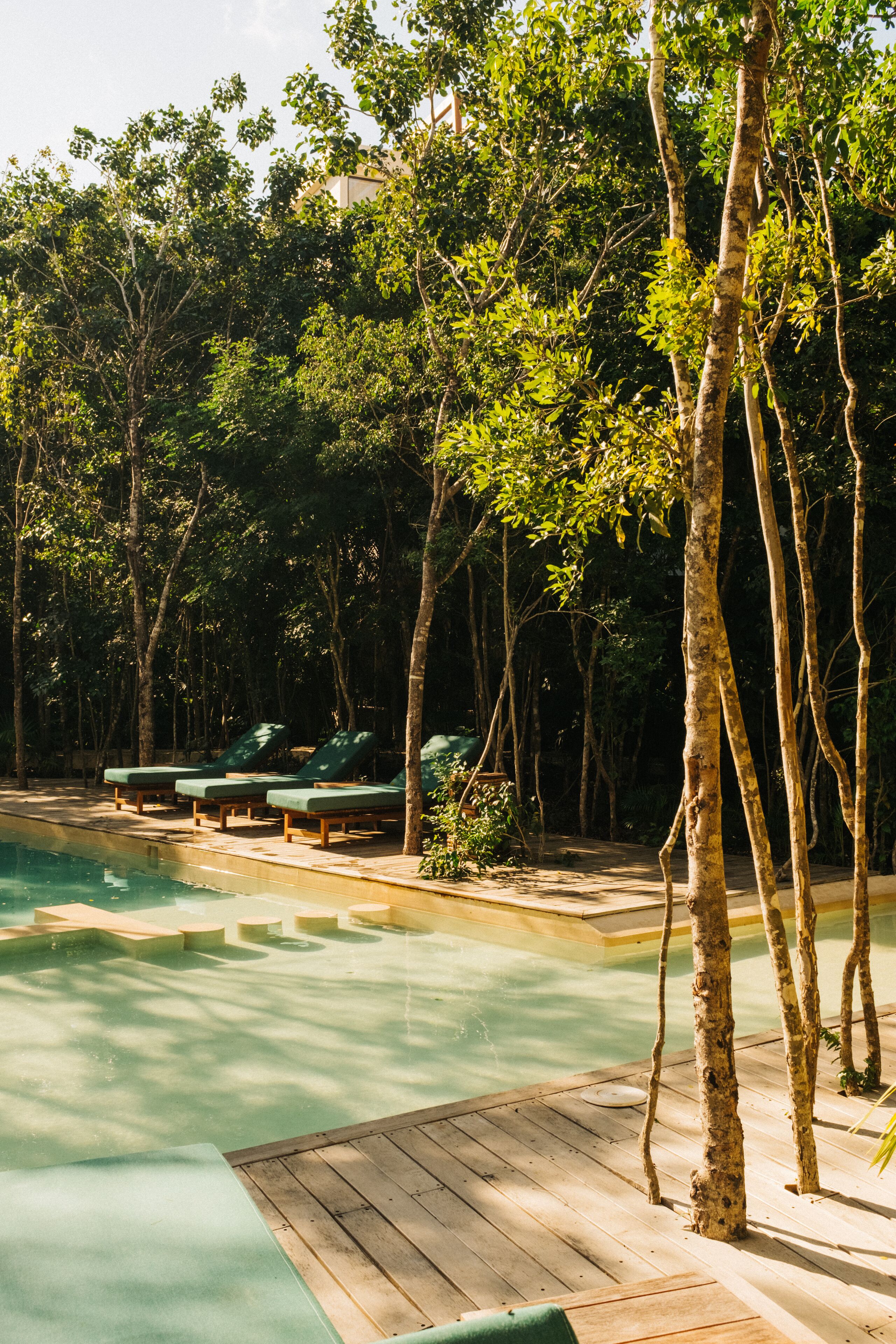 A pool area with wooden deck and lounge chairs, surrounded by trees.