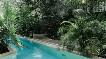 Una piscina rodeada de exuberante vegetación y árboles.