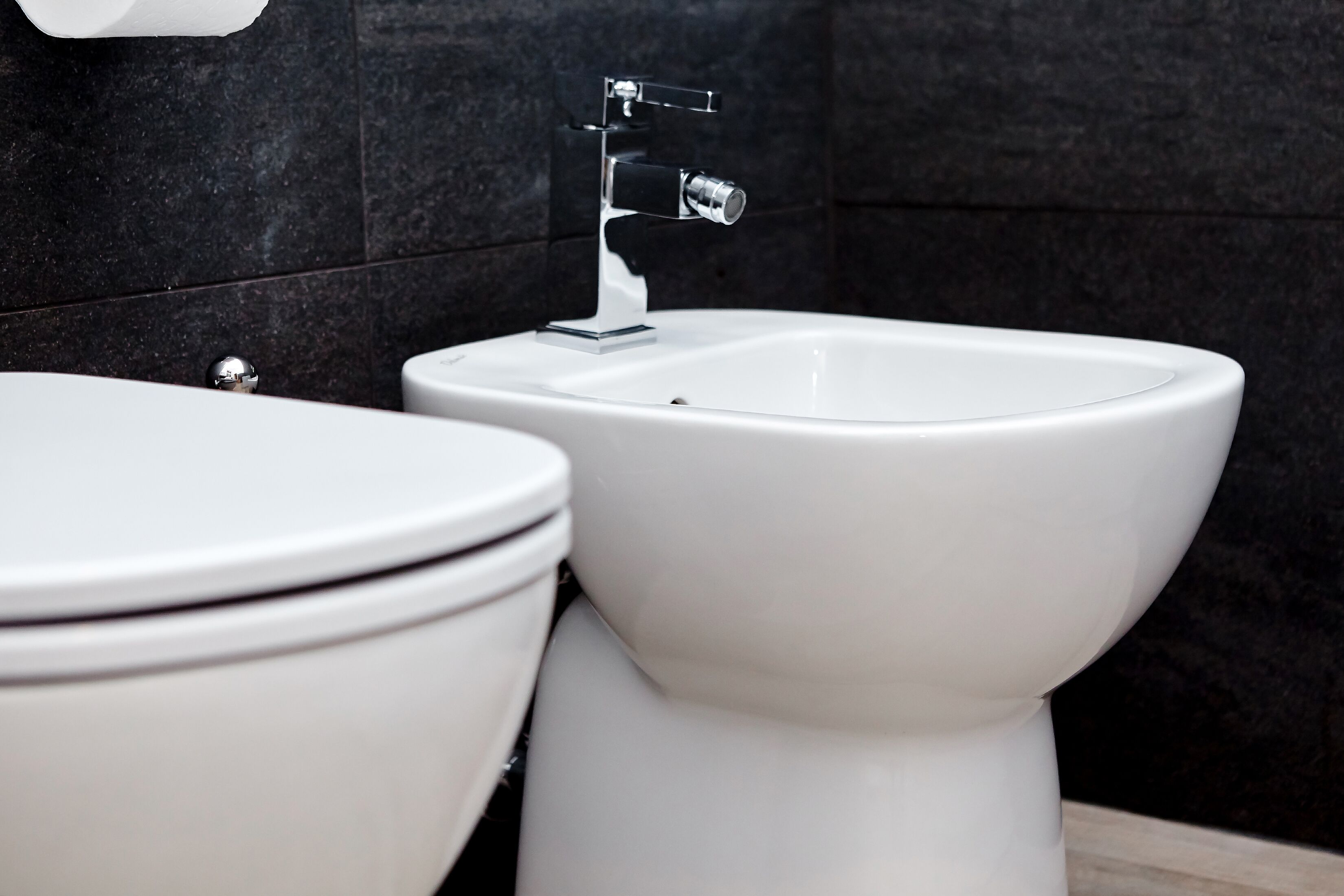 A bathroom with a white toilet and bidet.