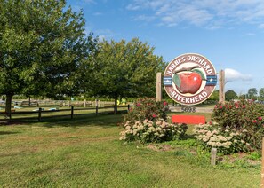 Property grounds - North Fork Farmhouse | Open Living | Near Vineyards | Sleeps 8 (mattituck)