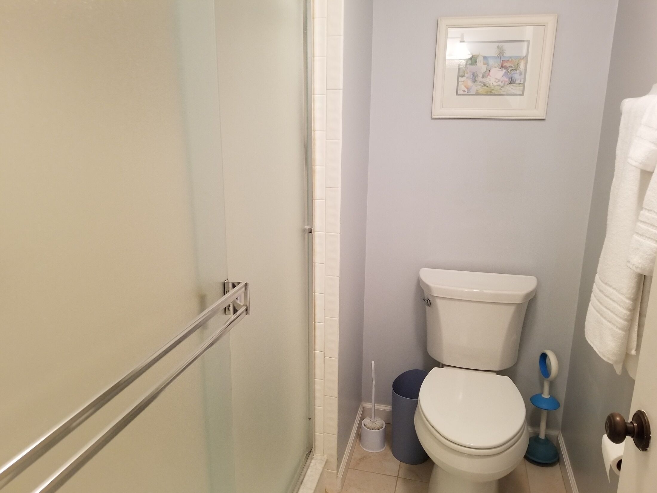 A bathroom with a toilet, a trash can, a shower, and a framed picture on the wall.